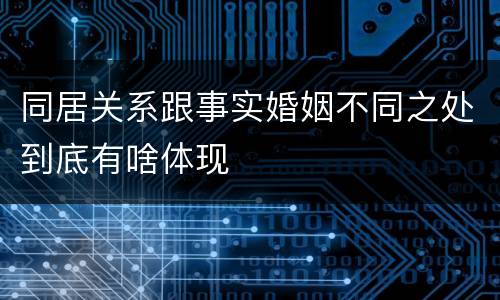同居关系跟事实婚姻不同之处到底有啥体现