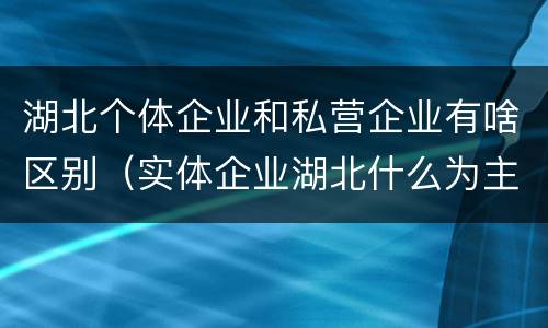 湖北个体企业和私营企业有啥区别（实体企业湖北什么为主）