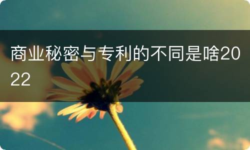 商业秘密与专利的不同是啥2022