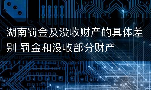 湖南罚金及没收财产的具体差别 罚金和没收部分财产