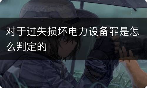 对于过失损坏电力设备罪是怎么判定的
