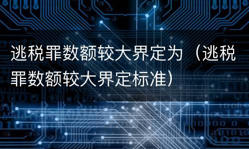逃税罪数额较大界定为（逃税罪数额较大界定标准）