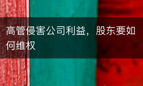高管侵害公司利益，股东要如何维权