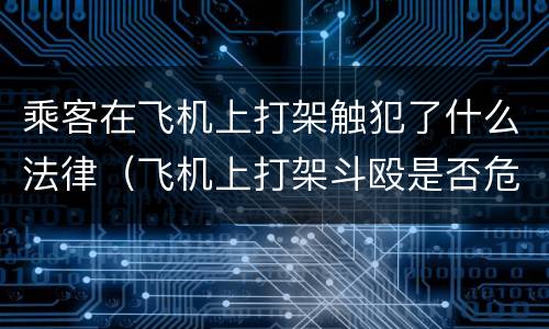 乘客在飞机上打架触犯了什么法律（飞机上打架斗殴是否危害航空安全）