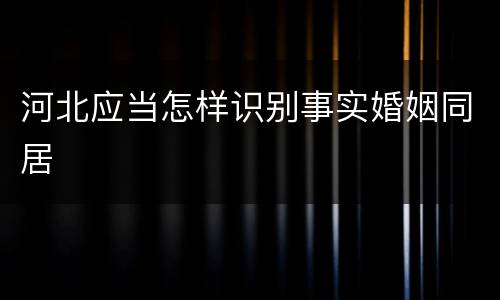 河北应当怎样识别事实婚姻同居