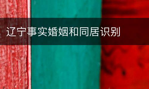 辽宁事实婚姻和同居识别
