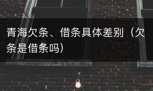 青海欠条、借条具体差别（欠条是借条吗）