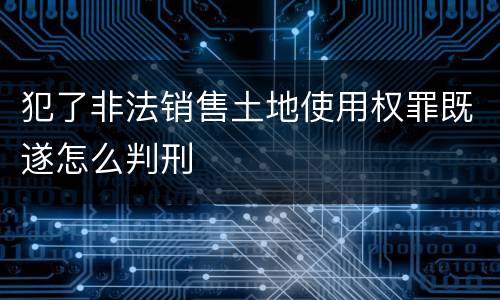 犯了非法销售土地使用权罪既遂怎么判刑