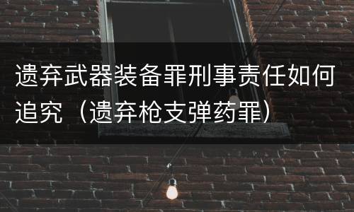 遗弃武器装备罪刑事责任如何追究（遗弃枪支弹药罪）