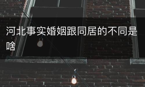 河北事实婚姻跟同居的不同是啥