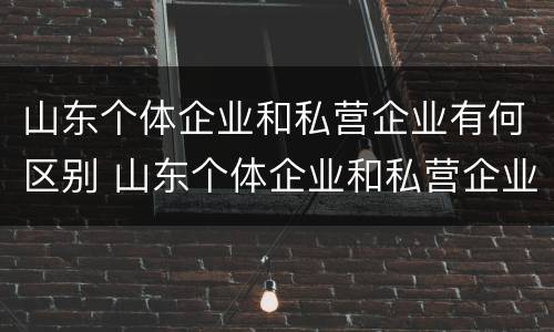 山东个体企业和私营企业有何区别 山东个体企业和私营企业有何区别呢