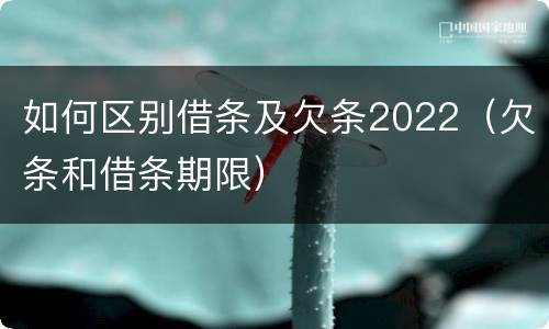 如何区别借条及欠条2022（欠条和借条期限）