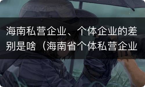 海南私营企业、个体企业的差别是啥（海南省个体私营企业协会）
