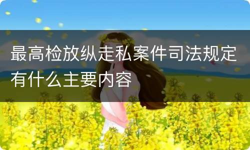 最高检放纵走私案件司法规定有什么主要内容