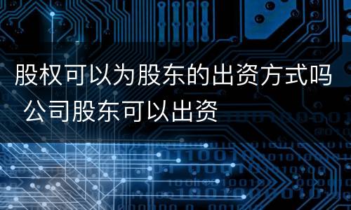 股权可以为股东的出资方式吗 公司股东可以出资