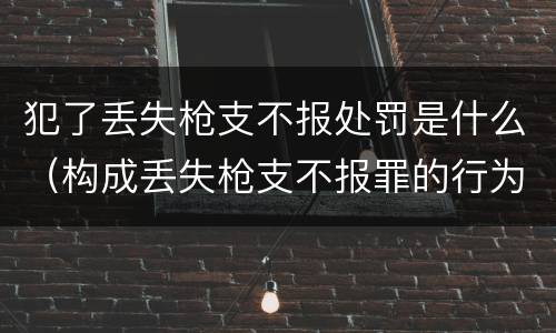 犯了丢失枪支不报处罚是什么（构成丢失枪支不报罪的行为）