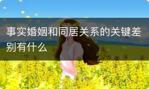 事实婚姻和同居关系的关键差别有什么
