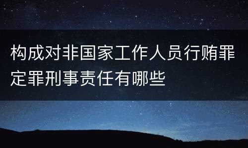构成对非国家工作人员行贿罪定罪刑事责任有哪些