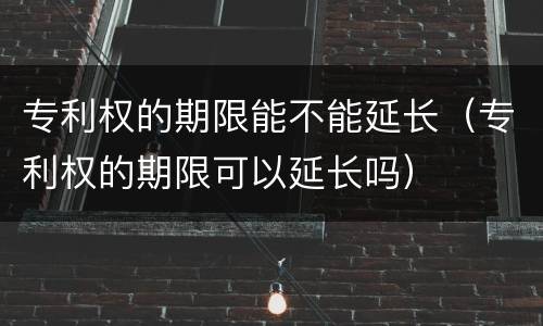 专利权的期限能不能延长（专利权的期限可以延长吗）