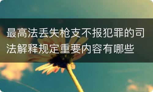 最高法丢失枪支不报犯罪的司法解释规定重要内容有哪些