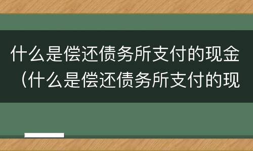 什么是偿还债务所支付的现金（什么是偿还债务所支付的现金流量）
