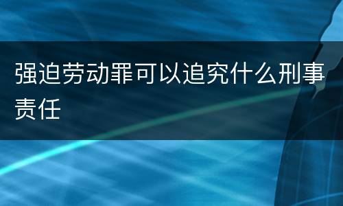 强迫劳动罪可以追究什么刑事责任