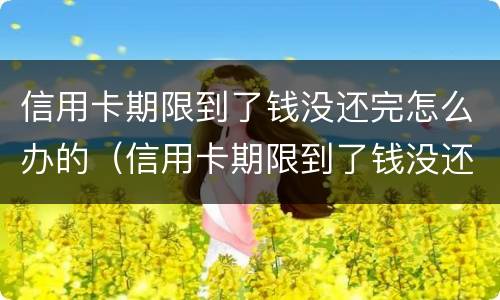 信用卡期限到了钱没还完怎么办的（信用卡期限到了钱没还完怎么办的呢）