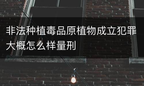 非法种植毒品原植物成立犯罪大概怎么样量刑