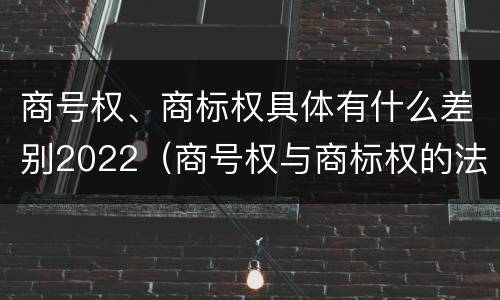 商号权、商标权具体有什么差别2022（商号权与商标权的法律冲突与解决）