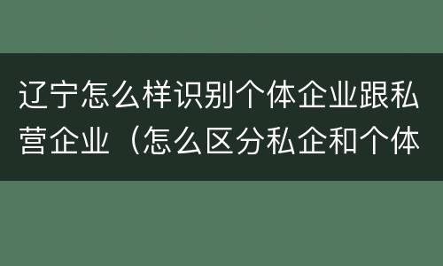 辽宁怎么样识别个体企业跟私营企业（怎么区分私企和个体）