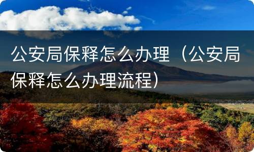 公安局保释怎么办理（公安局保释怎么办理流程）