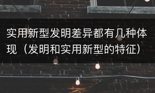实用新型发明差异都有几种体现（发明和实用新型的特征）