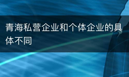 青海私营企业和个体企业的具体不同