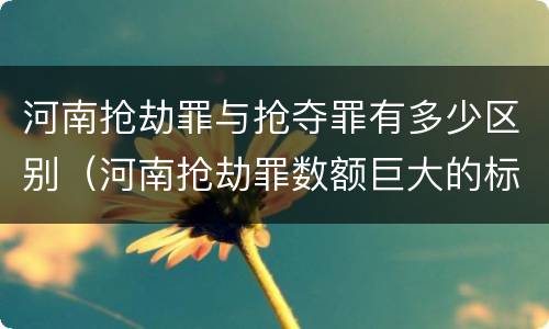 河南抢劫罪与抢夺罪有多少区别（河南抢劫罪数额巨大的标准）