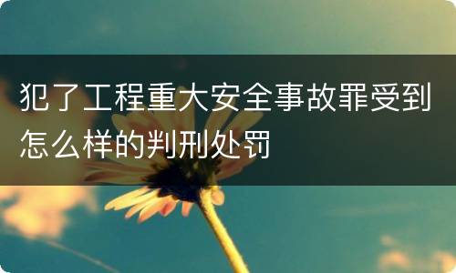 犯了工程重大安全事故罪受到怎么样的判刑处罚