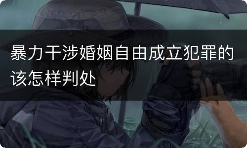 暴力干涉婚姻自由成立犯罪的该怎样判处