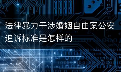 法律暴力干涉婚姻自由案公安追诉标准是怎样的