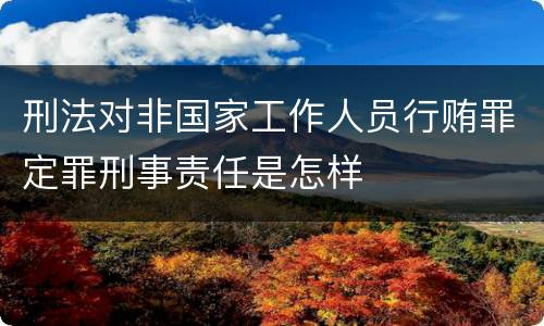 刑法对非国家工作人员行贿罪定罪刑事责任是怎样