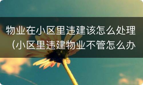 物业在小区里违建该怎么处理（小区里违建物业不管怎么办）