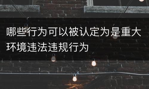 哪些行为可以被认定为是重大环境违法违规行为