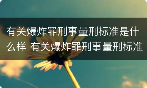 有关爆炸罪刑事量刑标准是什么样 有关爆炸罪刑事量刑标准是什么样的
