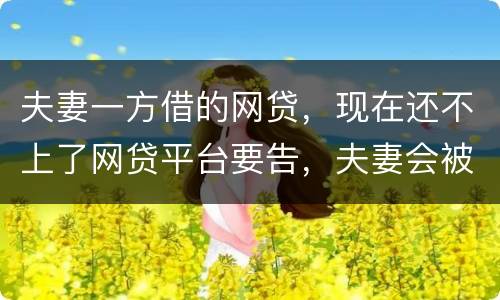夫妻一方借的网贷,现在还不上了网贷平台要告,夫妻会被一起告吗