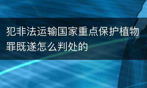 犯非法运输国家重点保护植物罪既遂怎么判处的