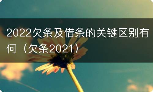 2022欠条及借条的关键区别有何（欠条2021）