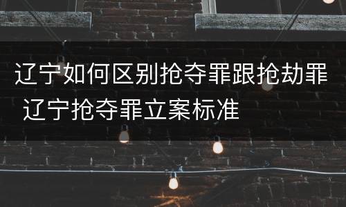 辽宁如何区别抢夺罪跟抢劫罪 辽宁抢夺罪立案标准