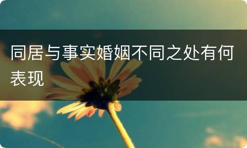 同居与事实婚姻不同之处有何表现
