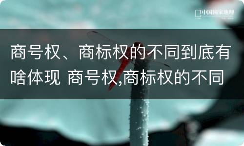 商号权、商标权的不同到底有啥体现 商号权,商标权的不同到底有啥体现