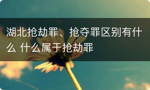 湖北抢劫罪、抢夺罪区别有什么 什么属于抢劫罪
