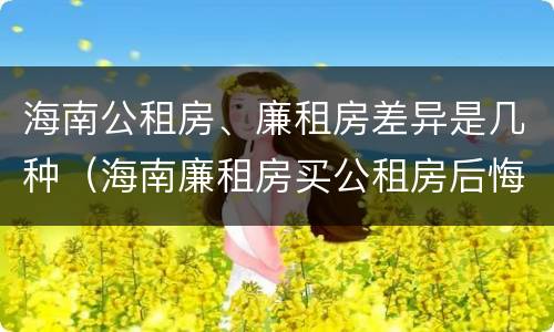 海南公租房、廉租房差异是几种（海南廉租房买公租房后悔了）