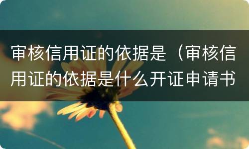 审核信用证的依据是（审核信用证的依据是什么开证申请书）
